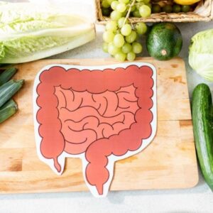 Modul 6 LEB DICH GESUND