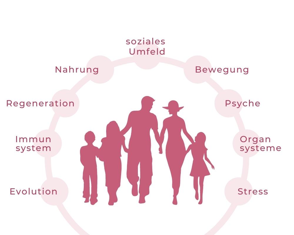 Netzwerk Mensch PNI