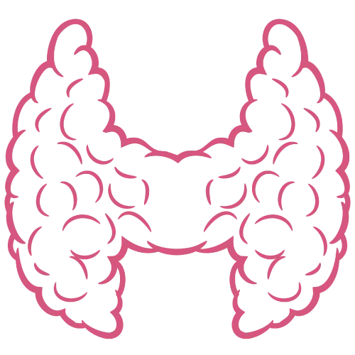 Schilddrüse